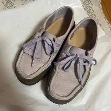 clarks wallabee cup 퍼플