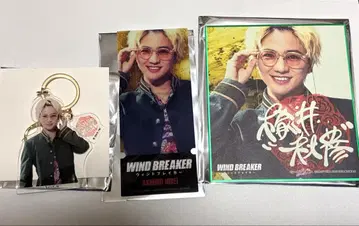 영화 WIND BREAKER 윈드브레이커 니이 아키히코 키도 타이세이