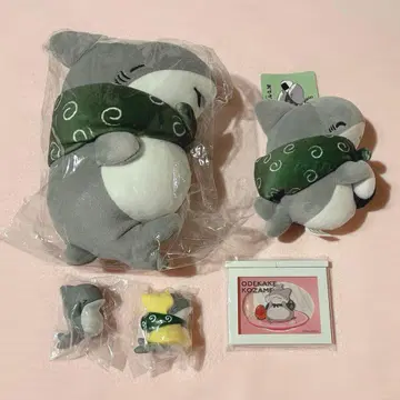 외출 아기상어 세트