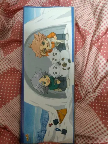 이나즈마 일레븐 캐릭터 포스터 컬렉션 17장 파일 세트