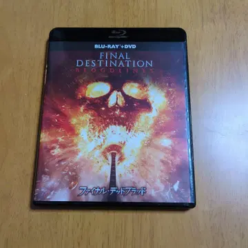 파이널 데드 브래드 Blu-ray + DVD