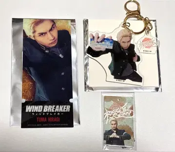 영화 WIND BREAKER 윈드 브레이커 히이라기 토마 나카자와 모토키