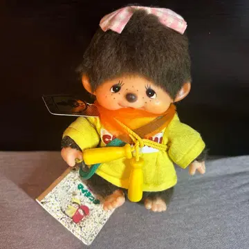 마이치치 쇼와 레트로 1970년대 당시 의류와 종이 택, 패션북 포함