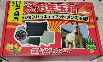 요도바시 꿈의 세뱃돈 상자 패션 버라이어티 세트 (남성용)의 꿈