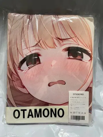 17983 빈 아이돌 마스터 후타바 안즈