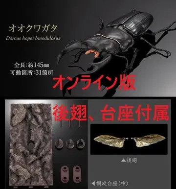 온라인판 오오쿠와가타 생물대도감 사슴벌레02