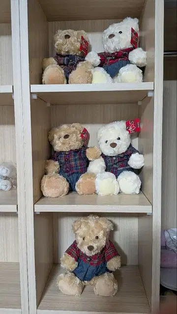 RUSS amram,s 테디베어