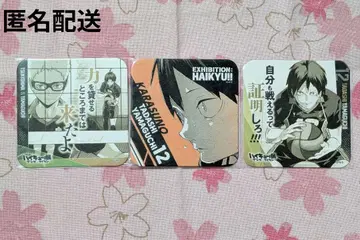 하이큐 코스터 야마구치 츠키시마