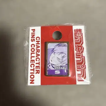 하이큐 5주년 기념 수주 핀즈 시라부 켄지로