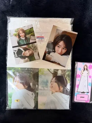 사쿠라이 히나코 10주년 기념 FC 한정판 굿즈 세트 미사용품