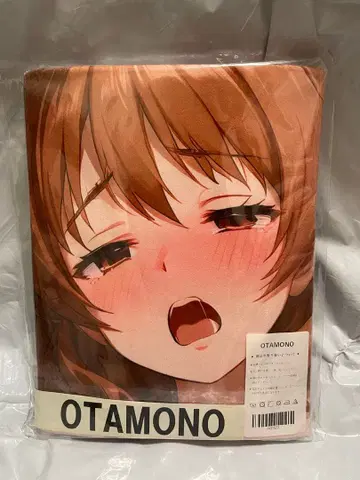 31523 거 아이돌 마스터 아라키 히나