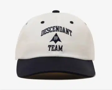 DESCENDANT TEAM 6PANEL