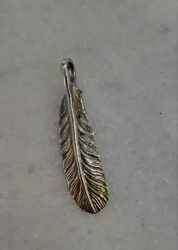 애리조나 프리덤 선금 페더