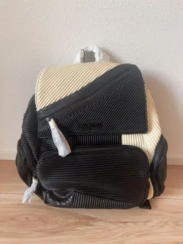 Desigual 스트라이프 백팩