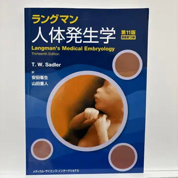 랭그먼 인체 발생학 제11판