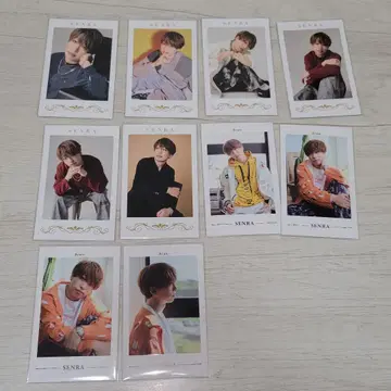 센라 폴라로이드 세트