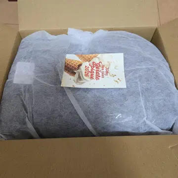 GELATO PIQUE 2026 [ B ]