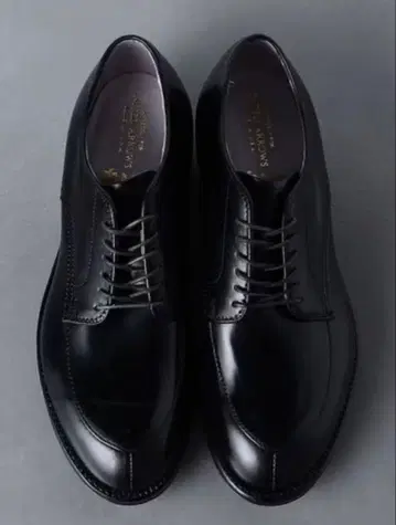 새상품 미사용 ALDEN 5433 V 칩 슈즈 US8.5