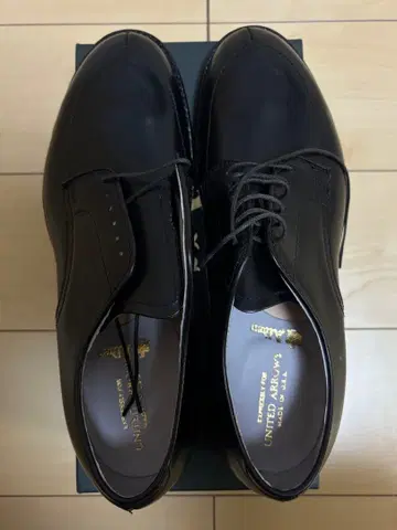 새상품 미사용 ALDEN 5433 V 칩 슈즈 US8.5