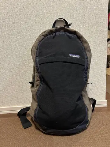 Patagonia 파타고니아 백팩/백팩