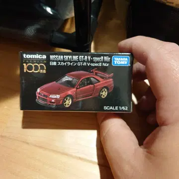 NISSAN SKYLINE GT-R V-spec II Nur