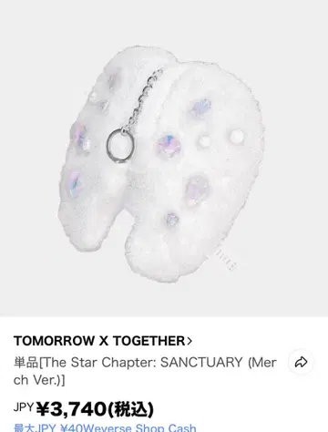 TOMORROW X TOGETHER SANCTUARY 깃털 키링