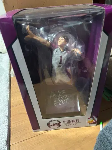 우시지마 와카토시 피규어 미개봉 새상품 라스트 해피 복권