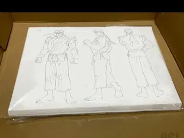 스트리트 파이터 설정 자료 세트