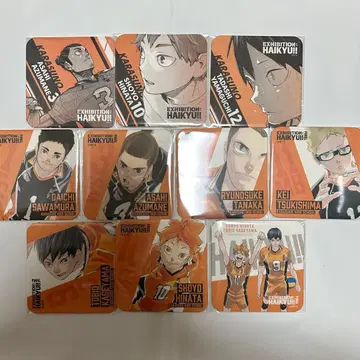 하이큐!! 하이큐전 아트 코스터 카라스노 고교