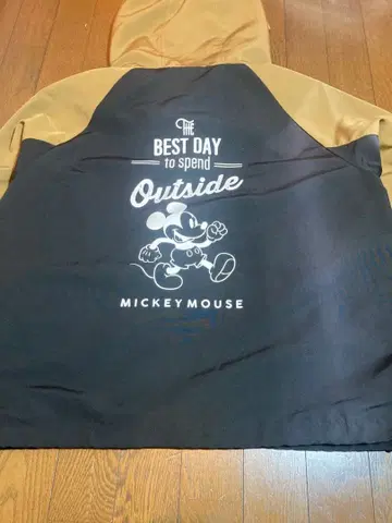 미키마우스 마운틴 후드티