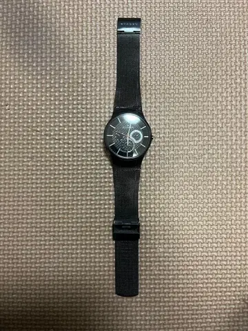 SKAGEN 손목시계 블랙