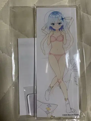 공녀 전하의 가정교사 BIG 아크릴 스탠드 B 티나 하워드