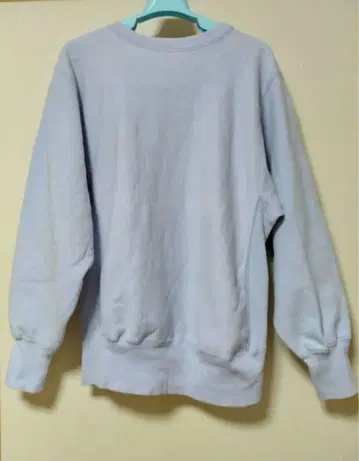 완전 눈 없음 90s 챔피온 리버스 위브