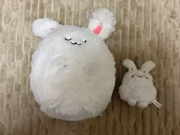 우사마오군 세트