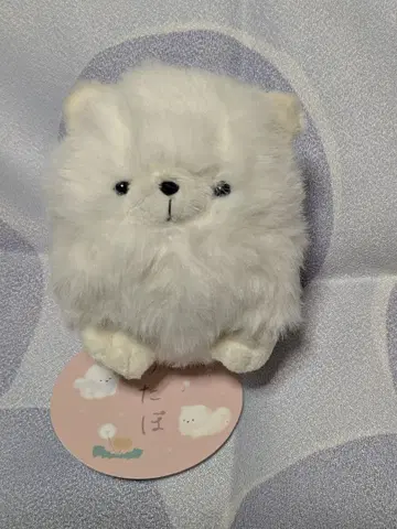 와타포 봉제 인형 포메라니안