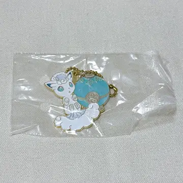 미사용 새상품 포켓몬 제일복권 메탈 참 키링 알로라 로사