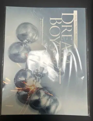 DREAM BOYS 2023 팜플렛