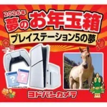 요도바시 카메라 꿈의 새해 선물 상자 플레이스테이션 5의 꿈