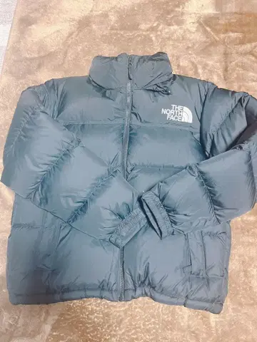 THE NORTH FACE 눕시 다운 자켓