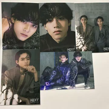 마츠자키 사쿠야 사진 세트