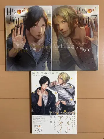 사로잡힌 파르마 공식 앤솔로지 하루토, 아오이 편 & 노벨 앤솔로지