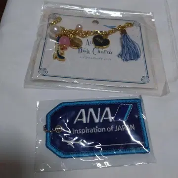 레어 ANA 비행기 참 네임택