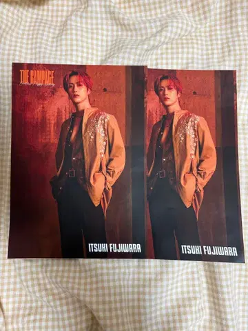 후지와라 이츠키 플라이어 2장 세트