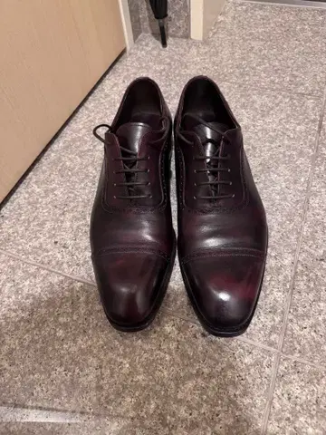 CARMINA 버건디 뮤지엄 카프