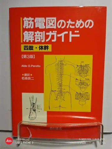 근전도를 위한 해부학 가이드 사지 몸통