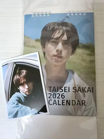 사카이 타이세이 2026 달력