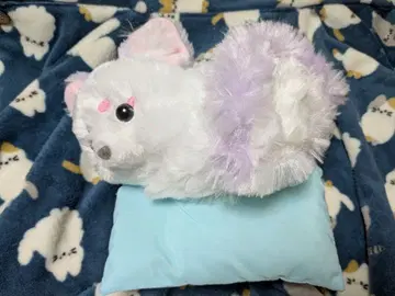 TAITO 한정판 쵸콘과 아홉 꼬리 여우님 쿠즈키리 봉제 인형