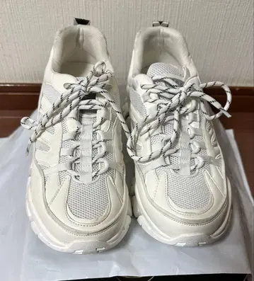 'ADAMASTE' 랭크 어퍼