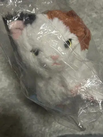 무릎 고양이 ss 사이즈 미케 봉제 인형