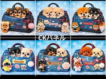 핸드메이드 오더 접수 (토이 푸들, 치와와, 시바견)